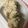 けいりんちゃん♪'s cooksnap of when they made 鶏ムネ串焼き　玉ねぎソースのせ.