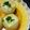 kucina's cooksnap of when they made 大根のコンソメ煮～チーズがけ～.
