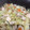 ✿ゆみゆみ✿'s cooksnap of when they made 鶏むね肉とキャベツの蒸し焼き♪簡単.