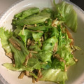 クック6F5381☆'s cooksnap of when they made えのきとレタスのナムル.