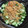 JBShino's cooksnap of when they made 中華クラゲときゅうりのごま油和え.
