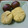 た～る✿'s cooksnap of when they made 秋の定番♪我が家の栗きんとん.