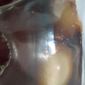 ゆづゆ＠凛斗's cooksnap of when they made 【常備菜】簡単！コスパ良し！な煮卵.