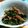 ラビィクック's cooksnap of when they made 春先の生わかめを人参と自家製ナムルに♪.