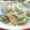 もちあられ's cooksnap of when they made ✿もやしときゅうりの塩炒め✿.