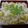 ひらり～♪'s cooksnap of when they made ごろごろ☆栗ごはん.