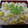 ひらり～♪'s cooksnap of when they made ごろごろ☆栗ごはん.