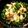 チィｖ's cooksnap of when they made Bacalao al pil pil.