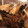 クックGFY8CA☆'s cooksnap of when they made イカと玉ねぎのオイスター炒め.
