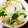 ふう♡♡♡'s cooksnap of when they made 簡単！むきえびDEかぶの中華風あんかけ♪.