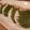 iyo＊'s cooksnap of when they made ヘルシー♪ささみと大葉のつくね.