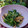 もりあん農園's cooksnap of when they made 大根葉と油揚げのゴママヨあえ.