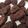 ももんぬぬ's cooksnap of when they made 【低糖質】チョコサブレ.