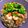 Cook★Robin's cooksnap of when they made ほうれん草と卵の簡単チャーハン.