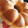 さとさとmama's cooksnap of when they made ヨーグルトとはちみつの✿ちぎりパン.
