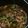ベーコン兄貴's cooksnap of when they made レバーとアスパラのアヒージョ.