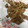 o0oあやかo0o's cooksnap of when they made 焼き肉のタレ de きんぴらごぼう焼き肉.