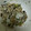☆ハッピーデイズ☆'s cooksnap of when they made 枝豆とひじきの混ぜごはん.