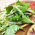 なぎさ▽▲'s cooksnap of when they made もやしと水菜の手抜き中華風サラダ.