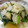 キイロイオニギリ's cooksnap of when they made 葉つきカブと油揚げの炒め煮.
