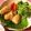 miku77's cooksnap of when they made 鶏むね肉とり天＆鳥南蛮【男の鶏料理】.