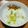 さらさんレシピ's cooksnap of when they made 鶏むねで白切鶏(中華風茹で鶏)のネギだれ.