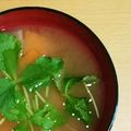 シナモシナモ's cooksnap of when they made 大根と人参の味噌汁.