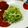 cocoりえ's cooksnap of when they made 春キャベツの浅漬け生姜風味.