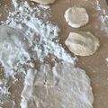 Yokchina's cooksnap of when they made 海老蒸し餃子.