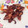 ✩ぱっちょ✩'s cooksnap of when they made ☆鶏の照り焼きの簡単時短おかず☆.