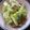 M3doors111's cooksnap of when they made 一応、ロールキャベツ.