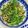 Sat2513's cooksnap of when they made 豆苗しめじ炒め.