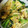 ♡未希汰ﾝ♡'s cooksnap of when they made もやしと小松菜の卵炒め.