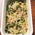 駱駝似's cooksnap of when they made 簡単♪もやしとツナのマヨマスタードサラダ.