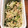 駱駝似's cooksnap of when they made 簡単♪もやしとツナのマヨマスタードサラダ.