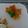 melmarilyn's cooksnap of when they made とろ～り☆ズッキーニとチーズの春巻き.