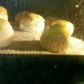 神パッ's cooksnap of when they made 薄力粉でパン.