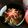 めんへらまぐろ's cooksnap of when they made 簡単！牛丼.