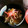 めんへらまぐろ's cooksnap of when they made 簡単！牛丼.