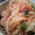 ののたんワンコ's cooksnap of when they made お店の味☆カリッとかき揚げ丼.