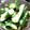 くるみパン6_6v's cooksnap of when they made 中国の定番！たたききゅうり（拍黄瓜）.