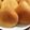 かほりちゃん's cooksnap of when they made ミルクマドレーヌ.
