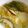 オイゼビウス's cooksnap of when they made 野菜たっぷりあったか生姜スープ.