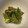 ☆ヘイハチロウ☆'s cooksnap of when they made めちゃ簡単 オクラの胡麻和え.
