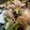 ふぁんたにゃん's cooksnap of when they made 白菜とザーサイの炒め物.
