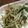 huto☆'s cooksnap of when they made 水菜ともやしベーコンの炒め物.