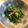 ☆akettu☆'s cooksnap of when they made 簡単☆菜の花のおひたし.