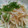 たかよっち♪'s cooksnap of when they made もやしの梅肉和え.