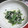 大宮翔's cooksnap of when they made 簡単！ほうれん草としらすのごまマヨ和え♪.