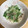ankoco's cooksnap of when they made 簡単！水菜と豚肉のおろしポン炒め.